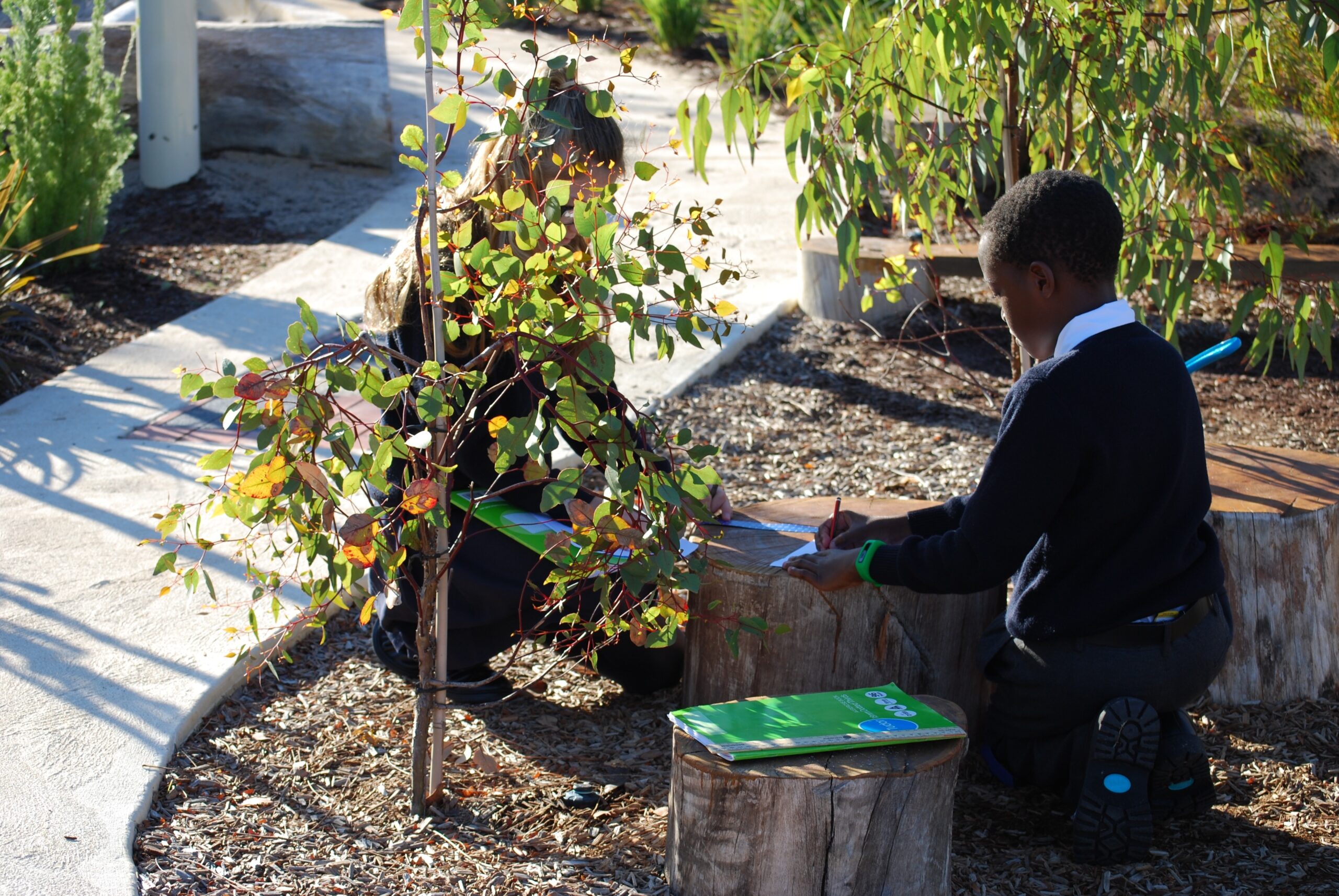 Primary School students measuring nature play